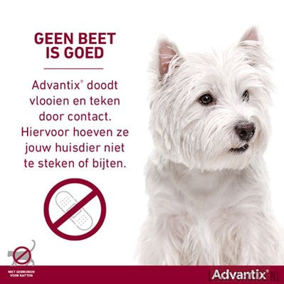 Bayer Elanco Advantix Spot On-BAYER-Louis Choice