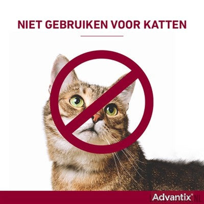 Bayer Elanco Advantix Spot On-BAYER-Louis Choice