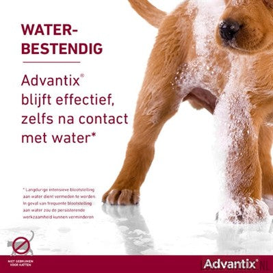 Bayer Elanco Advantix Spot On-BAYER-Louis Choice