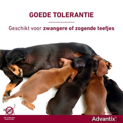 Bayer Elanco Advantix Spot On-BAYER-Louis Choice