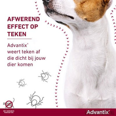 Bayer Elanco Advantix Spot On-BAYER-Louis Choice