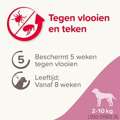 Beaphar Fiprotec Hond Tegen Teken En Vlooien-BEAPHAR-Louis Choice