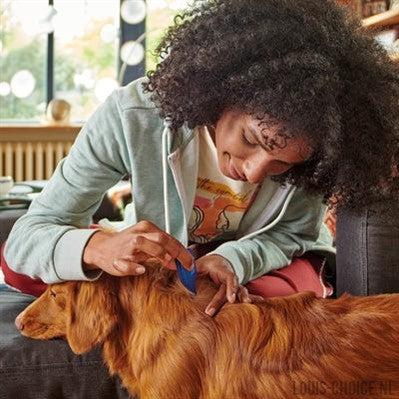 Beaphar Fiprotec Hond Tegen Teken En Vlooien-BEAPHAR-Louis Choice