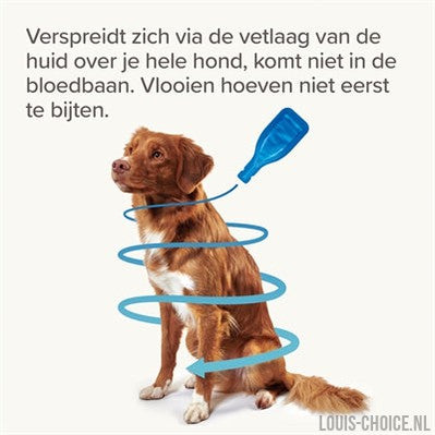 Beaphar Fiprotec Hond Tegen Teken En Vlooien-BEAPHAR-Louis Choice