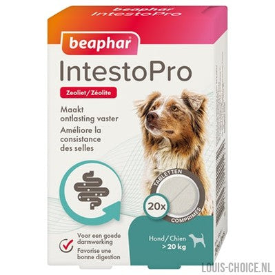 Beaphar Intestopro Hond-BEAPHAR-Louis Choice
