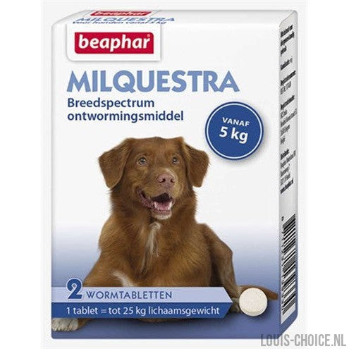 Beaphar Milquestra Hond-BEAPHAR-Louis Choice