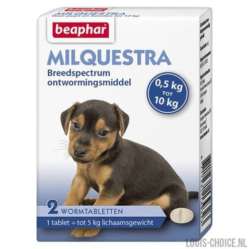 Beaphar Milquestra Kleine Hond / Pup-BEAPHAR-Louis Choice