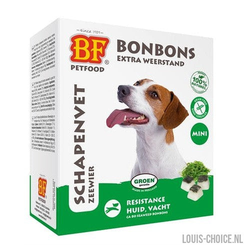 Bf Petfood Schapenvet Mini Bonbons Zeewier-BF PETFOOD-Louis Choice