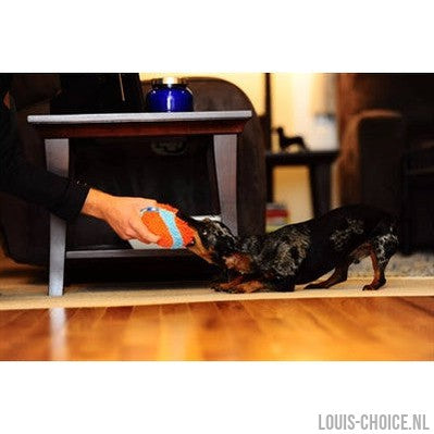 Chuckit Indoor Ball-CHUCKIT-Louis Choice