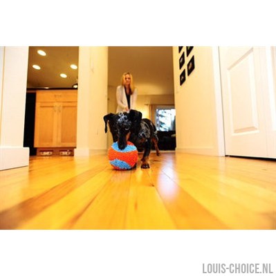 Chuckit Indoor Ball-CHUCKIT-Louis Choice