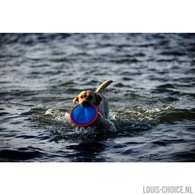 Chuckit Paraflight-CHUCKIT-Louis Choice