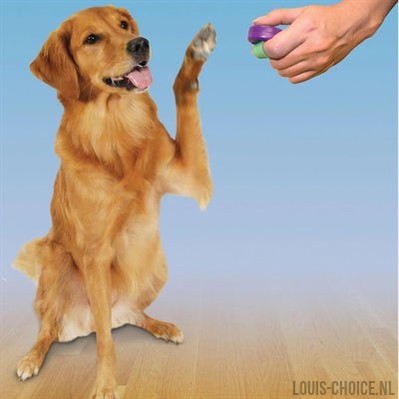 Clik-R Petsafe Clicker Voor Training-CLIK-R-Louis Choice