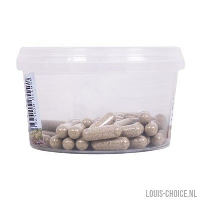 Dierendrogist Echinacea Bio Capsules-DIERENDROGIST-Louis Choice