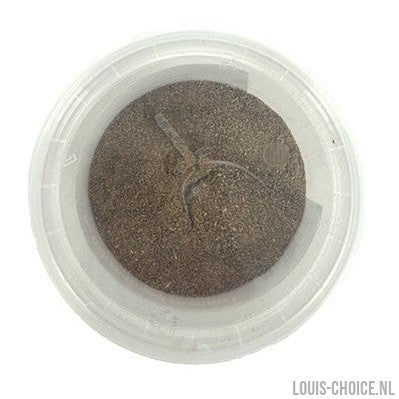 Dierendrogist Groenlipmossel Extract Veterinair-DIERENDROGIST-Louis Choice