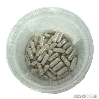 Dierendrogist Probiotica Capsules-DIERENDROGIST-Louis Choice