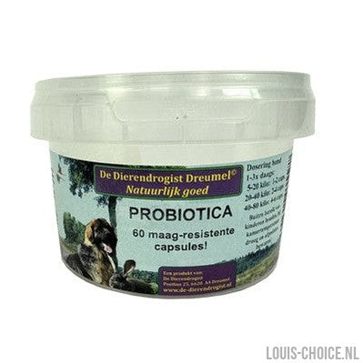 Dierendrogist Probiotica Capsules-DIERENDROGIST-Louis Choice