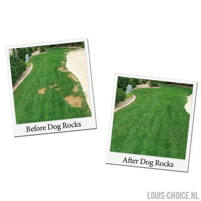 Dog Rocks-DOG ROCKS-Louis Choice