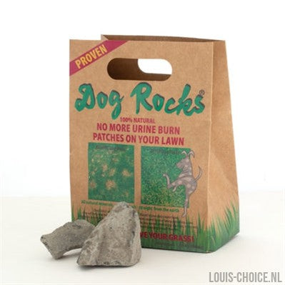 Dog Rocks-DOG ROCKS-Louis Choice