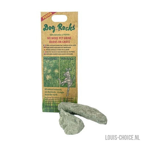 Dog Rocks-DOG ROCKS-Louis Choice