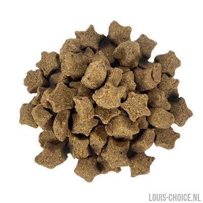 Dog Treatz Duck Stars-DOG TREATZ-Louis Choice