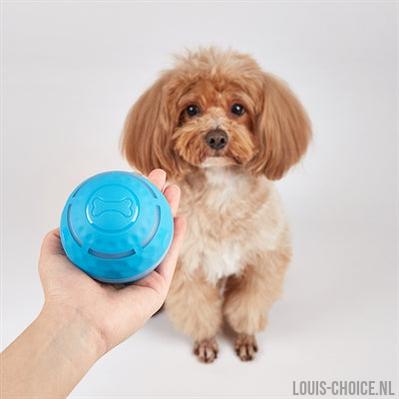 Fofos Rol Bal Oplaadbaar Voor Honden-FOFOS-Louis Choice