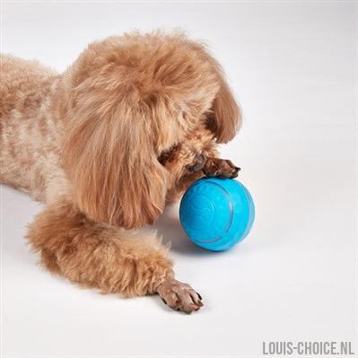 Fofos Rol Bal Oplaadbaar Voor Honden-FOFOS-Louis Choice