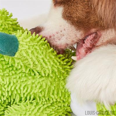 Fofos Tough Dog Alligator-FOFOS-Louis Choice