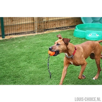 Happy Pet Atomic Bal Aan Touw Assorti-HAPPY PET-Louis Choice