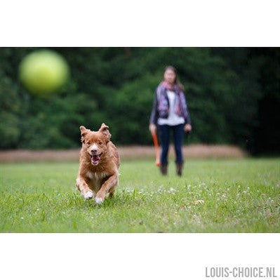 Happy Pet Fling N Fetch Werpstok Assorti-HAPPY PET-Louis Choice