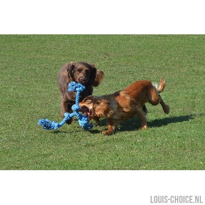 Happy Pet Flossin Fun 3 Knoop-HAPPY PET-Louis Choice