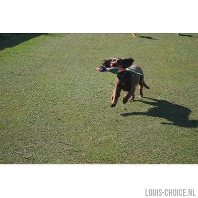 Happy Pet Gaudy Game Fazant-HAPPY PET-Louis Choice
