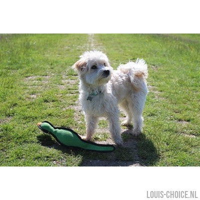 Happy Pet Gaudy Game Fazant-HAPPY PET-Louis Choice
