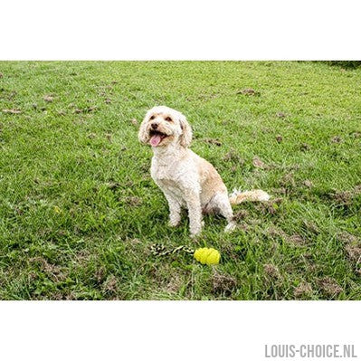 Happy Pet Grrrelli Soft Tugger Geel-HAPPY PET-Louis Choice