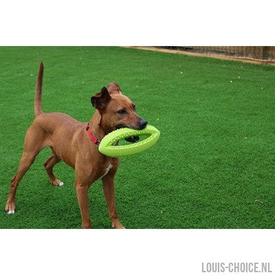Happy Pet Grubber Interactieve Rugbybal-HAPPY PET-Louis Choice