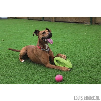 Happy Pet Grubber Interactieve Rugbybal-HAPPY PET-Louis Choice