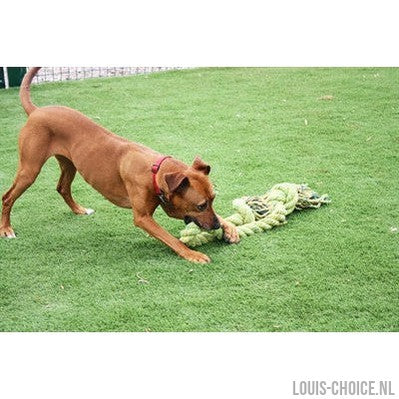 Happy Pet King Size Tug Flostouw-HAPPY PET-Louis Choice