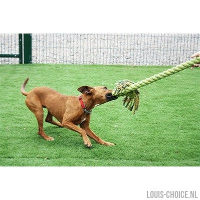 Happy Pet King Size Tug Flostouw-HAPPY PET-Louis Choice