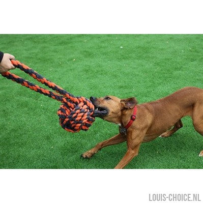Happy Pet Nuts For Knots Extreme Bal Tugger-HAPPY PET-Louis Choice
