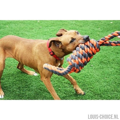 Happy Pet Nuts For Knots Extreme Spoel 8 Vorm Tugger Grijs / Oranje-HAPPY PET-Louis Choice
