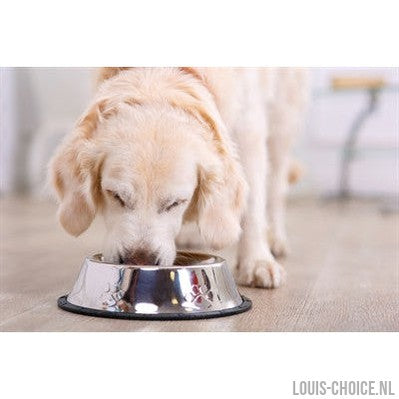 Happy Pet Voerbak Antislip-HAPPY PET-Louis Choice