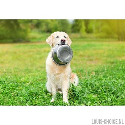 Happy Pet Voerbak Rvs-HAPPY PET-Louis Choice