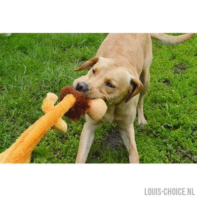 Happy Pet Wild Crinkler Leeuw-HAPPY PET-Louis Choice