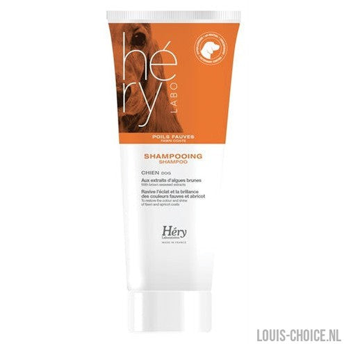 Hery Shampoo Voor Abrikoos/Roodbruin Haar-HERY-Louis Choice