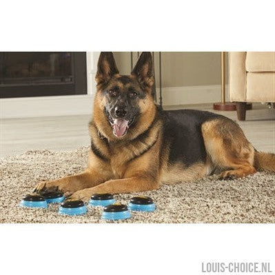 Hunger For Words Talking Pet Essential Words Set-HUNGER FOR WORDS-Louis Choice