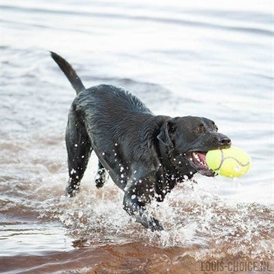 Kong Airdog Football Geel-KONG-Louis Choice