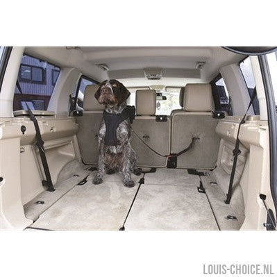 Kong Autogordel Hond Cargo Swivel-KONG-Louis Choice