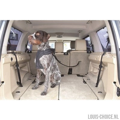 Kong Autogordel Hond Cargo Swivel-KONG-Louis Choice