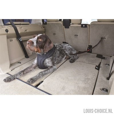 Kong Autogordel Hond Cargo Swivel-KONG-Louis Choice