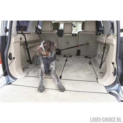 Kong Autogordel Hond Cargo Swivel-KONG-Louis Choice