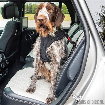 Kong Autogordel Hond Ultimate Safety-KONG-Louis Choice
